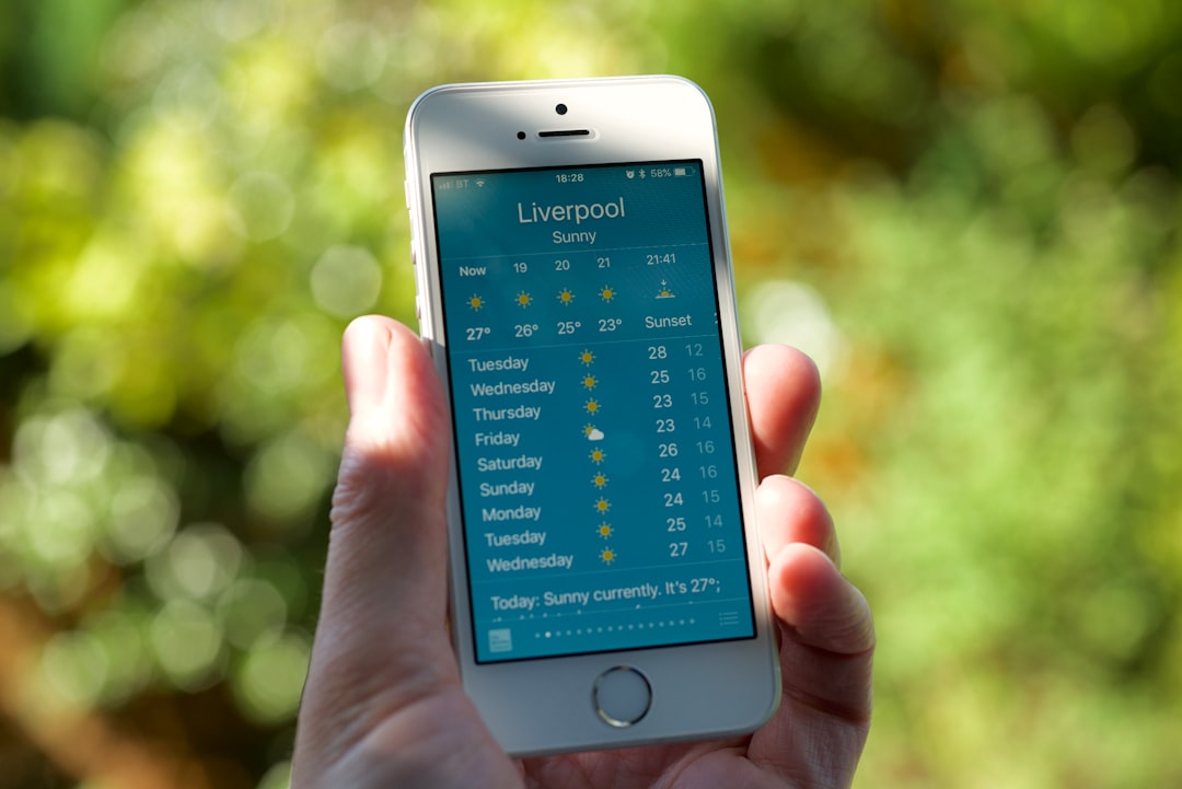 스픽 영어 왕초보 추천